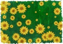 Floral Grunge Pattern Background Free Stock Photo - Public Domain Pictures