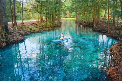 12 Best Natural Springs Near Tampa You Must Visit - Florida Trippers