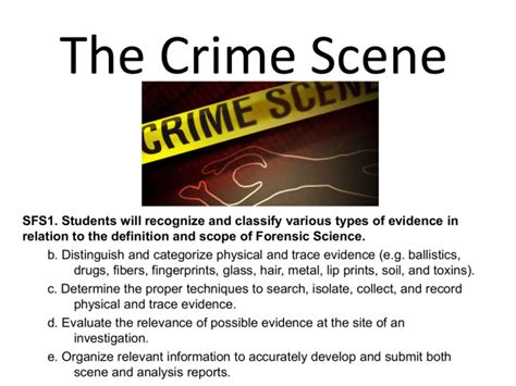 The Crime Scene