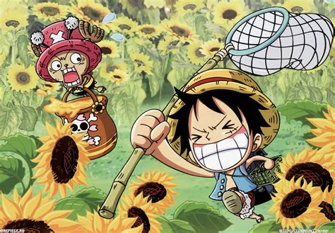 Download Luffy And Chopper Funny Anime Wallpaper | Wallpapers.com