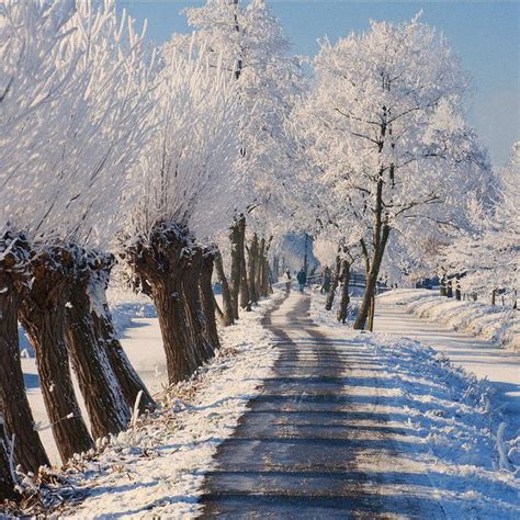 Winter in the Netherlands! | The netherlands, Winter, Winter wonder