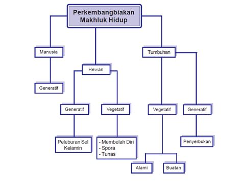 Contoh Peta Konsep IPA Kelas 6 SD / MI ~ Rangkuman Pengetahuan Alam Lengkap