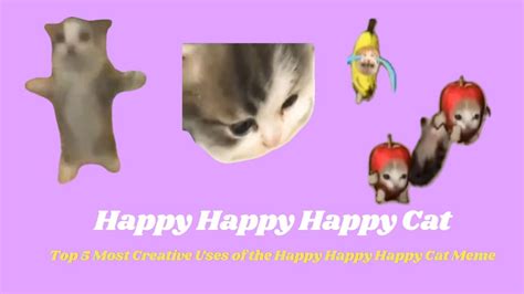 Happy Happy Happy Cat Meme Download