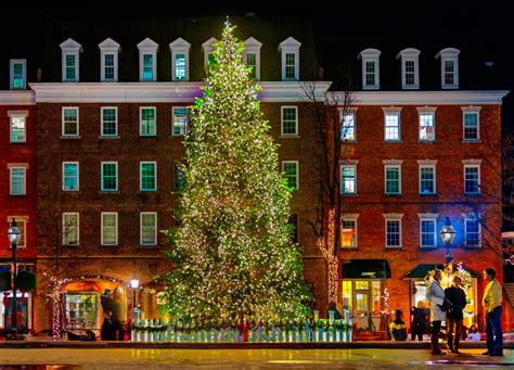 Tree Lighting To Kick Off Christmas In Alexandria | Old Town Alexandria, VA Patch