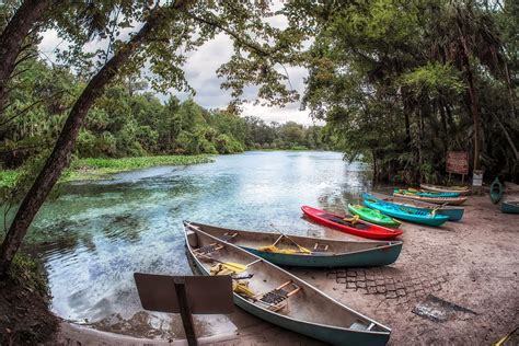 Orlando-Area Natural Springs to Visit