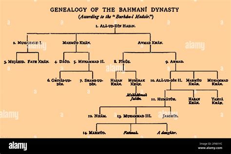 Family Tree Of Delhi Sultanate-Khilji Dynasty|Second Dynasty Of Delhi Sultanate|KhiljiDynasty ...