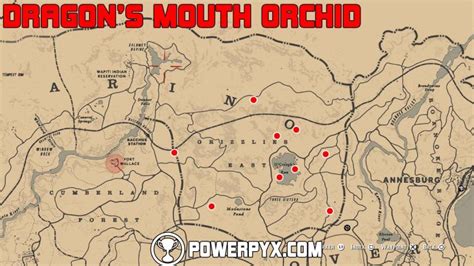 Red Dead Redemption 2 All Exotics Locations