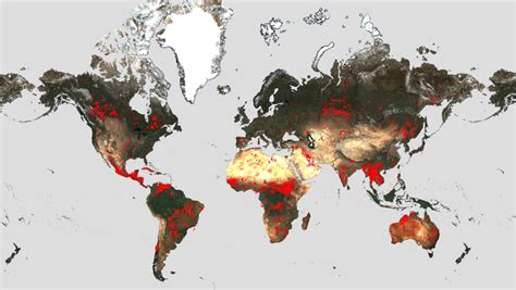 Incendios forestales en el mundo | Ya se han quemado más de 234.516 ...