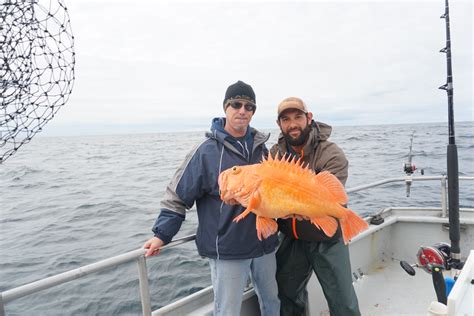 Top Rated Halibut Fishing Seward Alaska | Ninilchik Charters