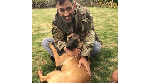 6 photos reveal MS Dhoni’s pet-friendly Ranchi farmhouse ...