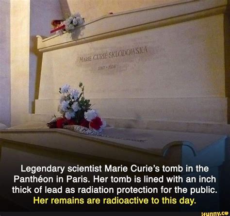 CUR Legendary scientist Marie Curie's tomb in the Pantheon in Paris. Her tomb is lined with an ...