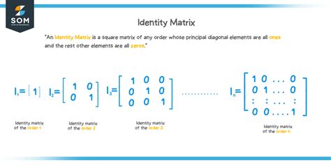 Identity matrix - Explanation & Examples