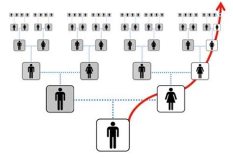 Everything You Need to Know About DNA Ancestry Testing