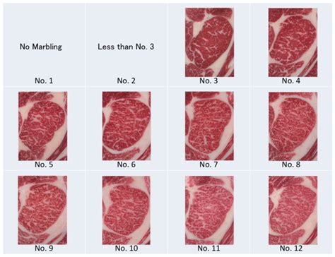 Meat Grading System | Wagyu Authentic