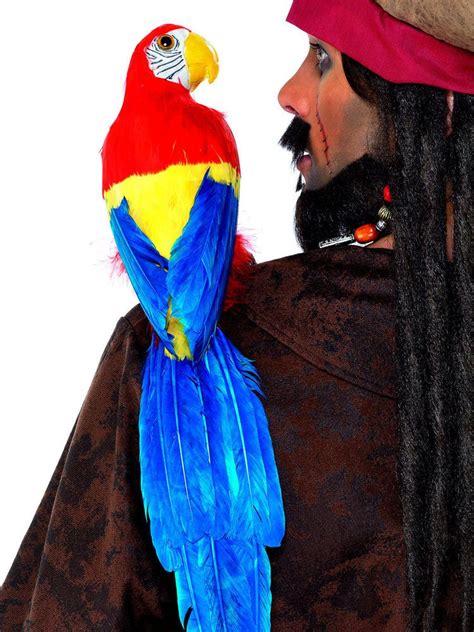 Pirate Parrot Shoulder