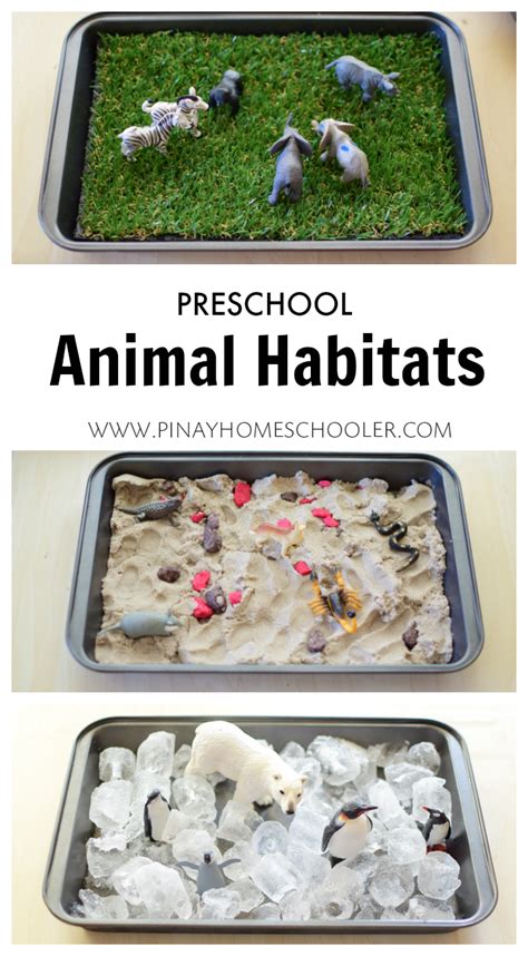 Animal Habitats For Kindergarten