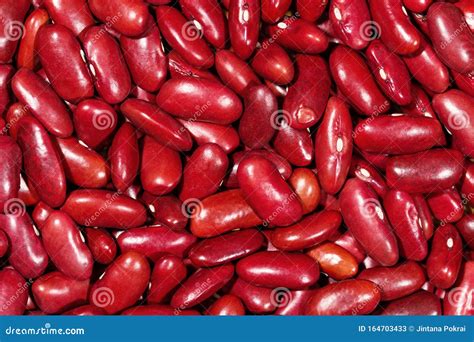 Close Up Red Kidney Bean Texture Background Stock Image - Image of texture, close: 164703433