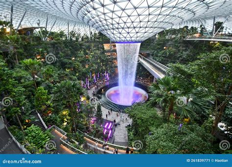 Shiseido Forest Valley at Jewel Changi Airport Stock Image - Image of ...