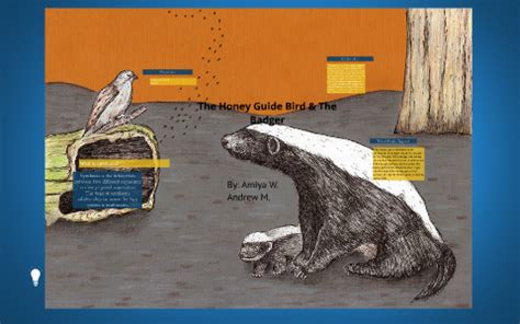 The Honey Guide Bird & The Badger by on Prezi