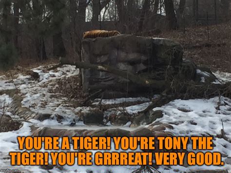 tony the tiger Memes & GIFs - Imgflip