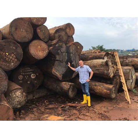 Buy Wholesale United Kingdom African Mahogany Wood, Mahogany Timber For Sale (hardwood ...