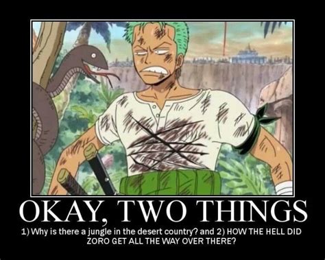 Oh, Zoro, how do you get so lost? XD | One piece, Roronoa zoro, Memes