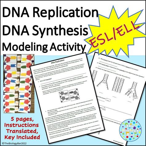 DNA | Worksheet | Education.com - Worksheets Library