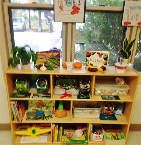 Great looking Science Center with plants, books and support materials! | Science center ...