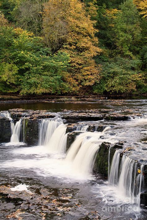 Aysgarth Upper Falls in autumn Photograph by Gavin Dronfield - Fine Art ...