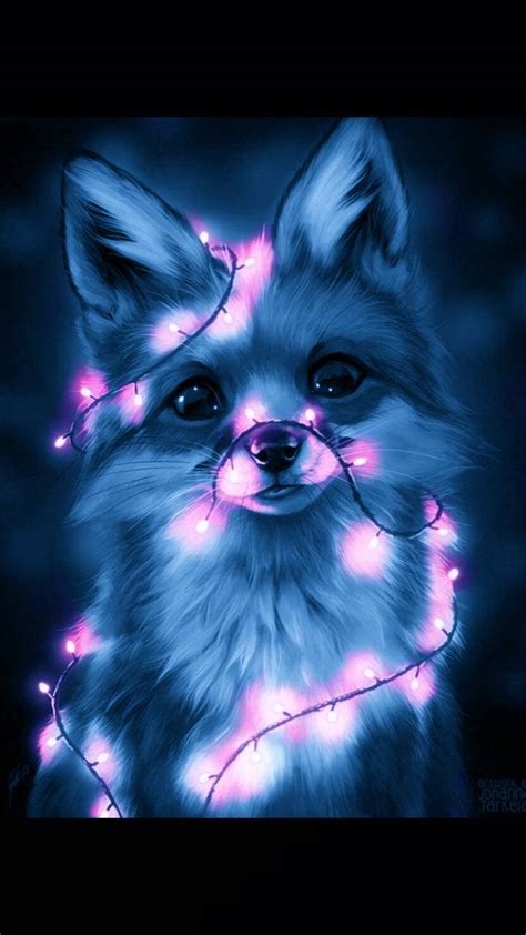 Galaxy Fox Wallpapers - Wallpaper Cave