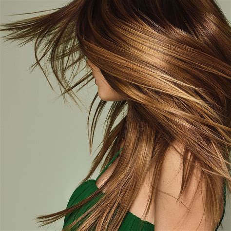 Haircuts, Color and Hair Treatments by Aveda Professionals at Foxfire Salon