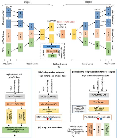 Methods: (A) VAE/MMD-VAE architecture consists of an encoder and a... | Download Scientific Diagram