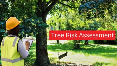 Tree Risk Assessment (TRAQ) - Hire ISA Certified Arborists