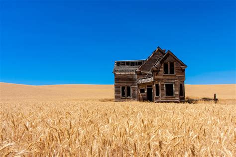 An abandoned home in the middle of a wheat field : r/pics