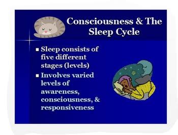 Psychology PPT: Consciousness/Sleep Stages with Analytic Activities