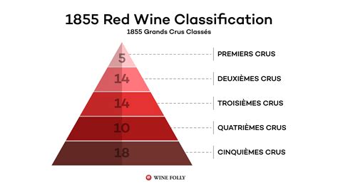 Grand Cru Classé 1855 | Bordeaux Wine Regions | Wine Folly