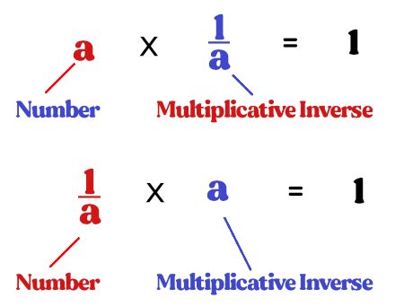 Multiplicative Inverse | Definition, Property & Examples - Lesson ...