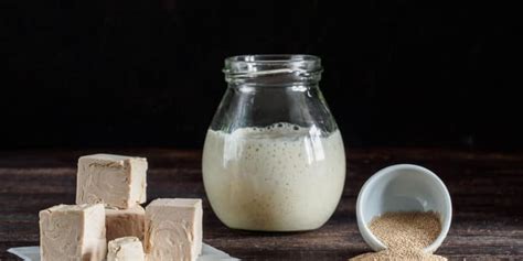 Wild Yeast vs Commercial Yeast: How To Use? - Artisan Passion