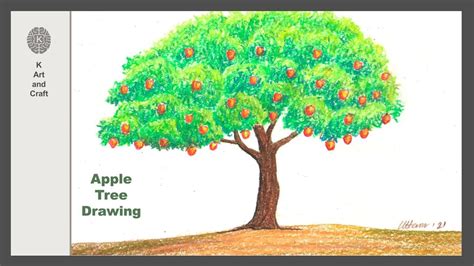 how to draw an apple tree - At The Big Blook Image Library