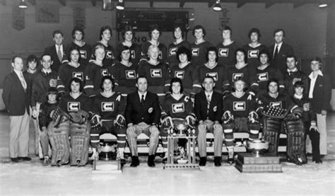 Calgary Canucks - Alberta Junior Hockey League Champions 1977 | HockeyGods