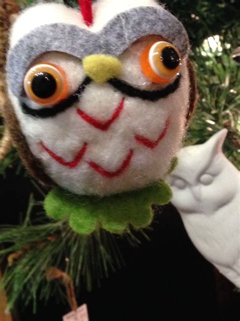 Goofy looking owl...lol...the big one...but he has a fan...the little one! | Owl, Christmas ...