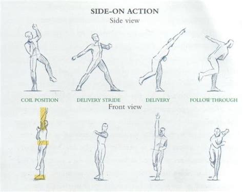 Optimal Technique for Pace Bowling in Cricket.: Optimal Technique for ...