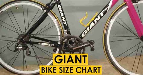 Giant Bike Size Chart By Height (Quick Guide With Bike Models)