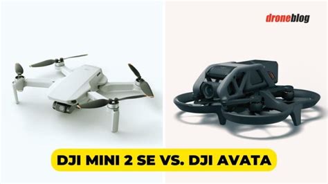 DJI Mini 2 SE vs. DJI Avata (Here's My Choice) - Droneblog