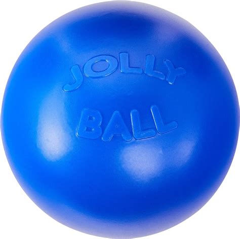 Jolly Pets 10" Push-n-Play Ball Dog Toy, Blue - Chewy.com