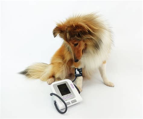 08A Veterinary Blood Pressure Monitor - Portable Ultrasound Machines