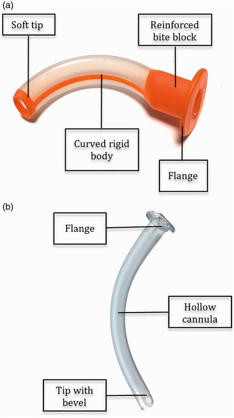 Nasopharyngeal Airway Adjunct