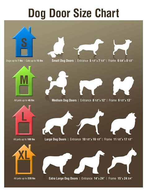 Dog Size Comparison Chart