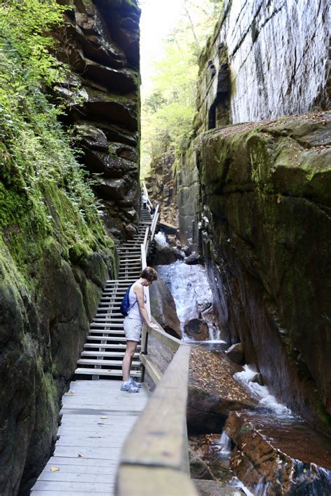 Exploring the Flume Gorge in New Hampshire | Travel, America travel, North america travel