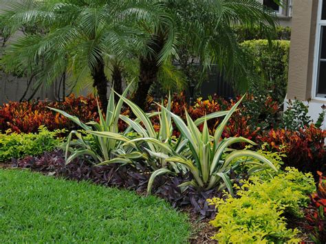 Landscape Design Expert Boca Raton - Pamela Crawford & Associates | Tropical landscape design ...